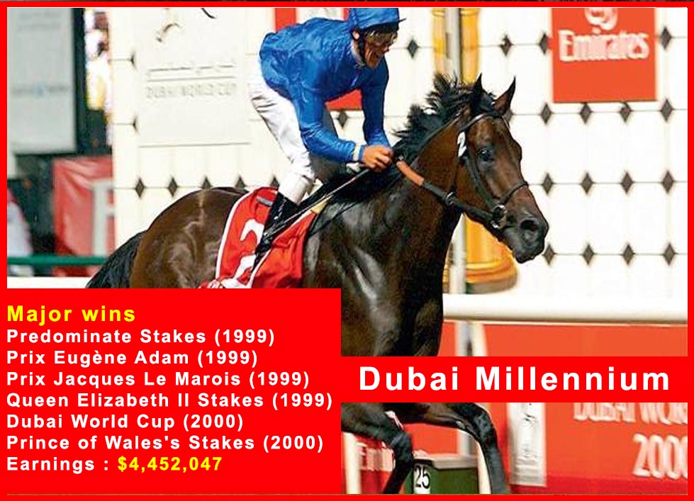 Dubai Millennium - Race Horse